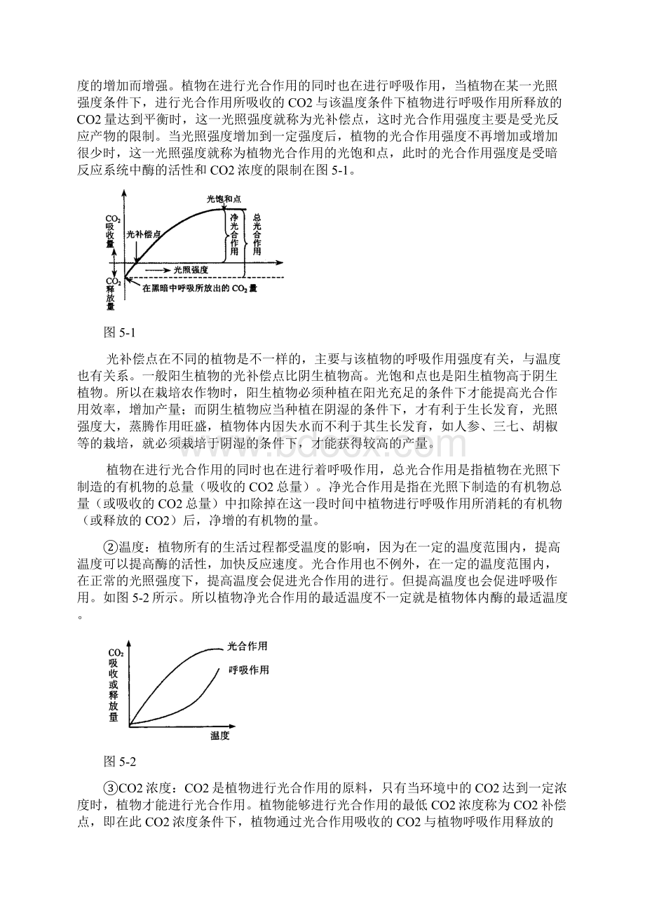 专题五 光合作用和呼吸作用与碳循环和能量流动Word下载.docx_第3页