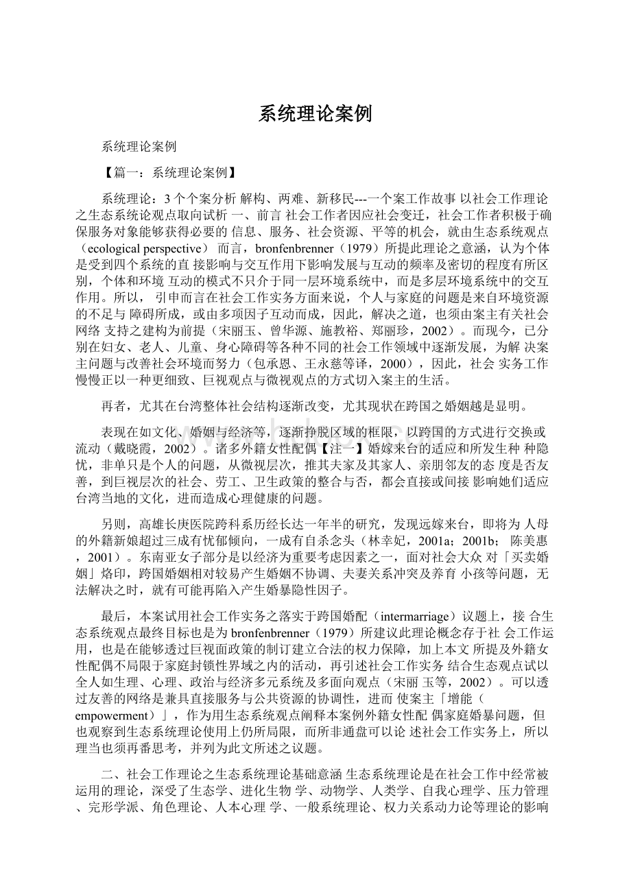 系统理论案例文档格式.docx