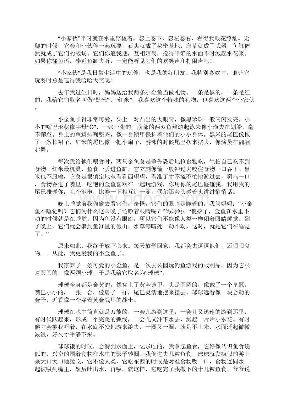 可爱的小金鱼600字作文最新Word格式文档下载.docx_第2页