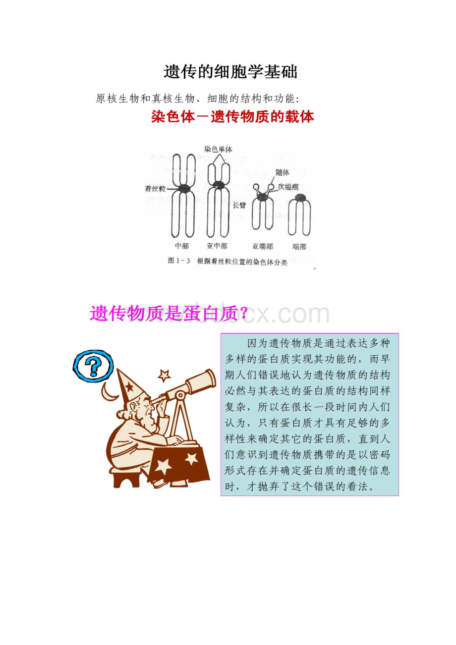 第二章遗传物质的性质结构与功能精.docx_第2页