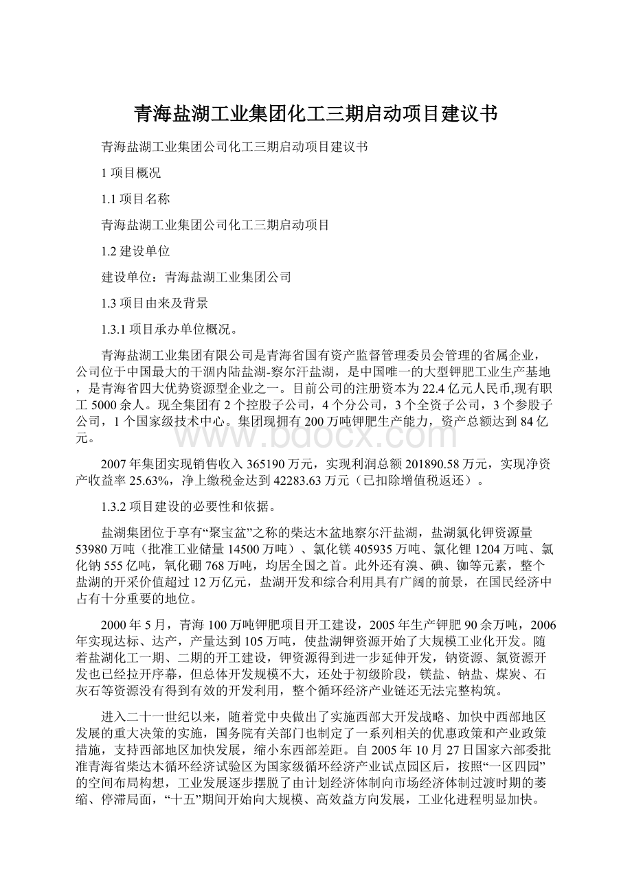 青海盐湖工业集团化工三期启动项目建议书.docx