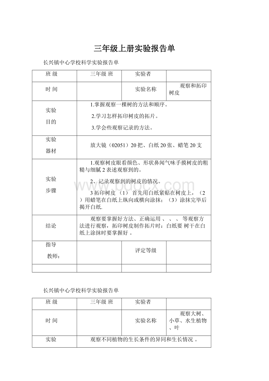 三年级上册实验报告单.docx