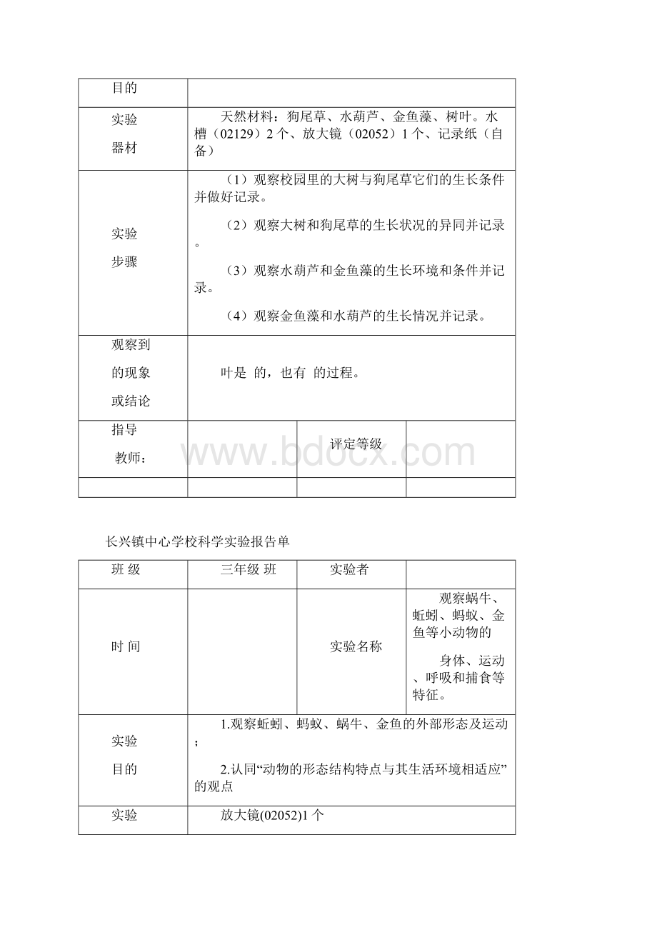 三年级上册实验报告单.docx_第2页