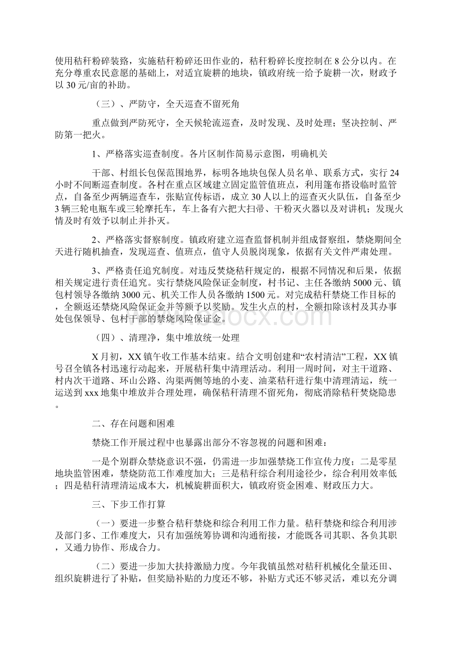 秸秆禁烧督查工作总结.docx_第2页