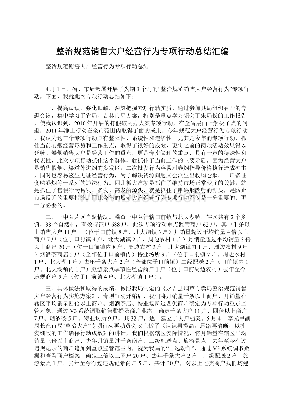 整治规范销售大户经营行为专项行动总结汇编Word下载.docx