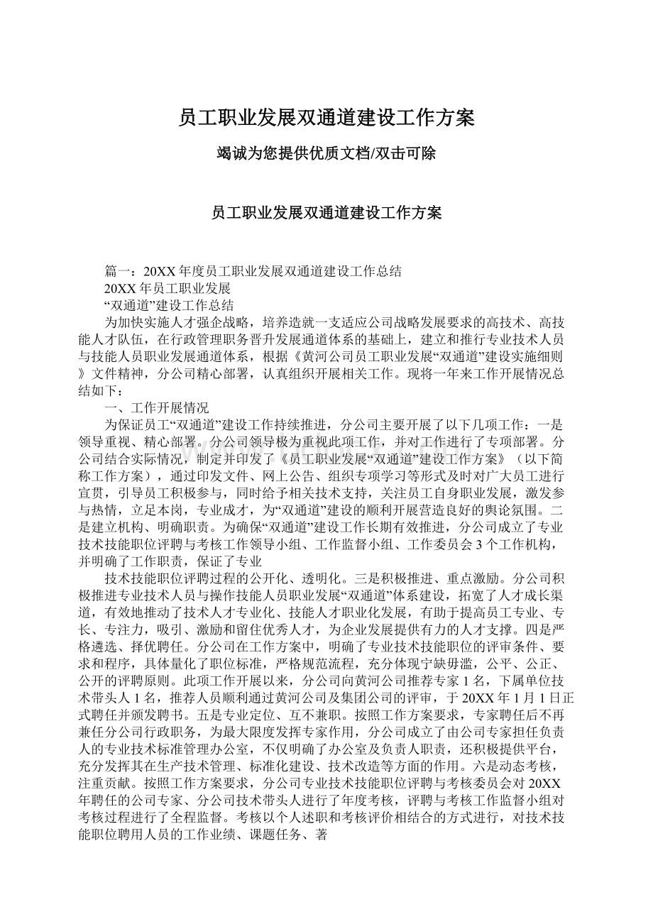 员工职业发展双通道建设工作方案文档格式.docx