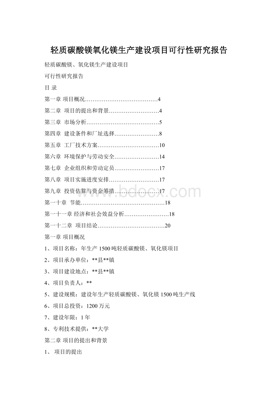 轻质碳酸镁氧化镁生产建设项目可行性研究报告Word下载.docx