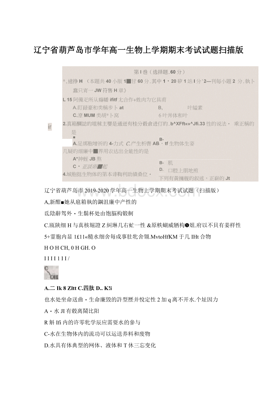 辽宁省葫芦岛市学年高一生物上学期期末考试试题扫描版.docx_第1页