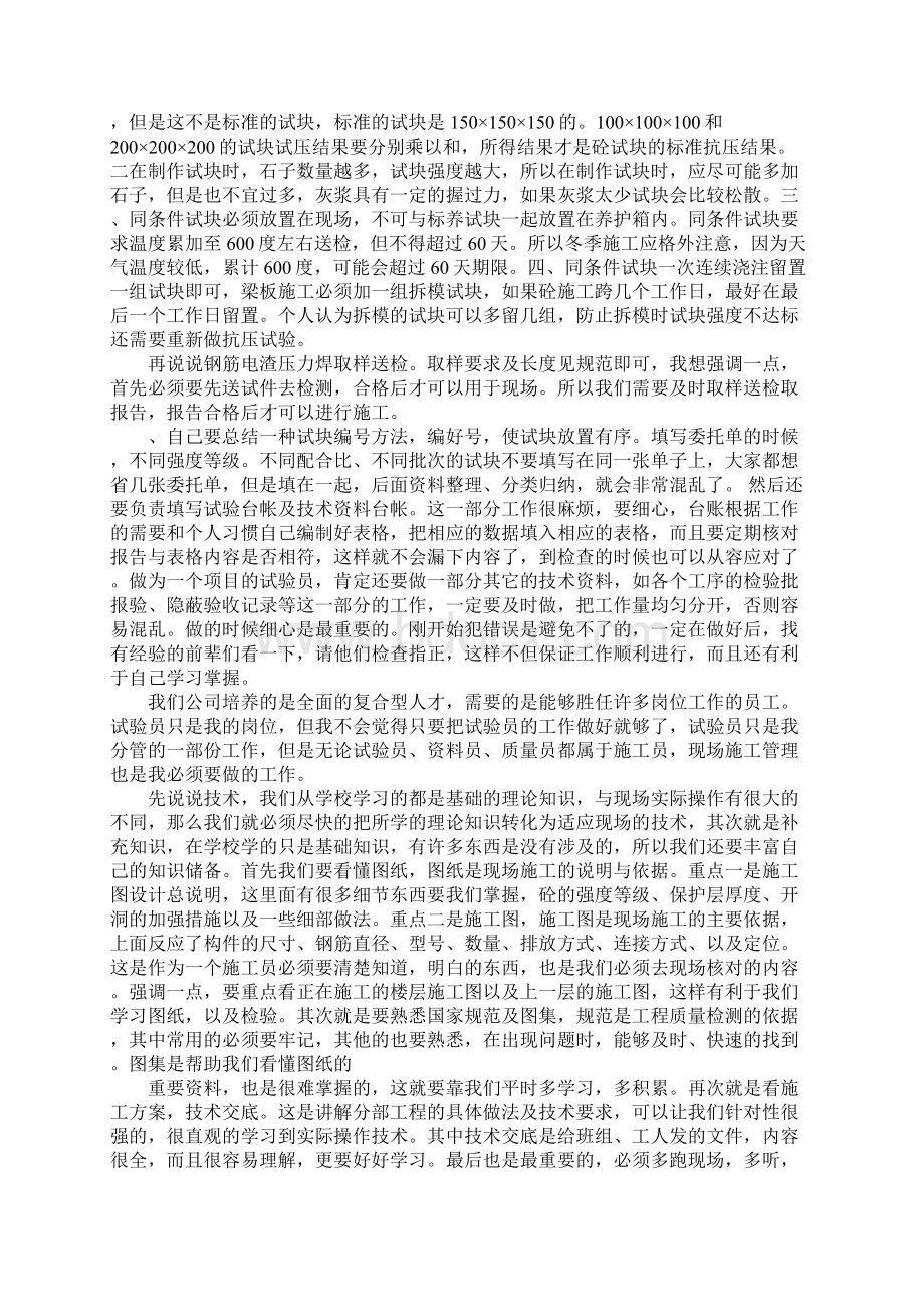 试验人员个人工作总结.docx_第3页