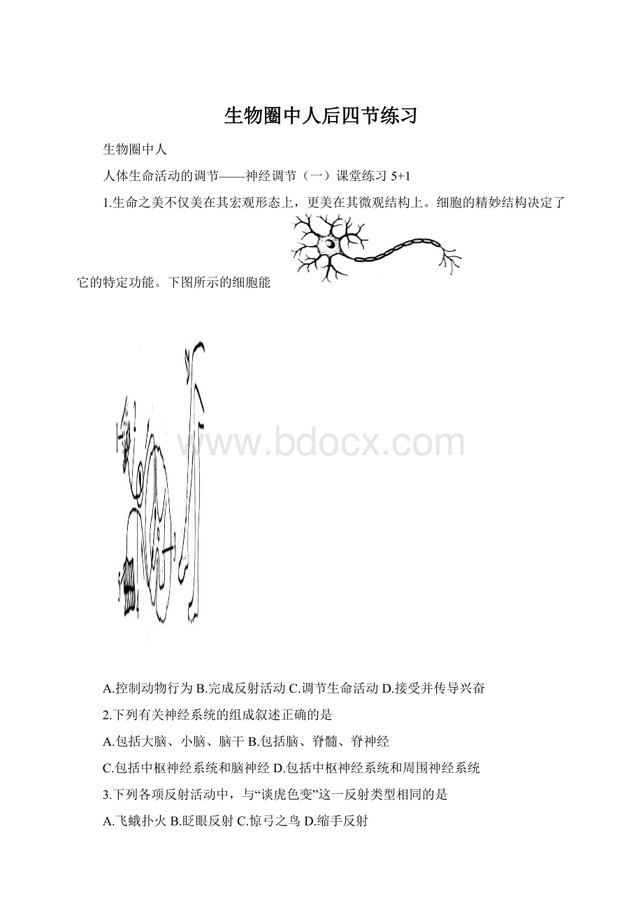 生物圈中人后四节练习.docx