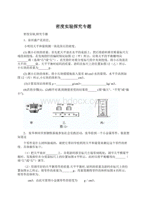 密度实验探究专题文档格式.docx