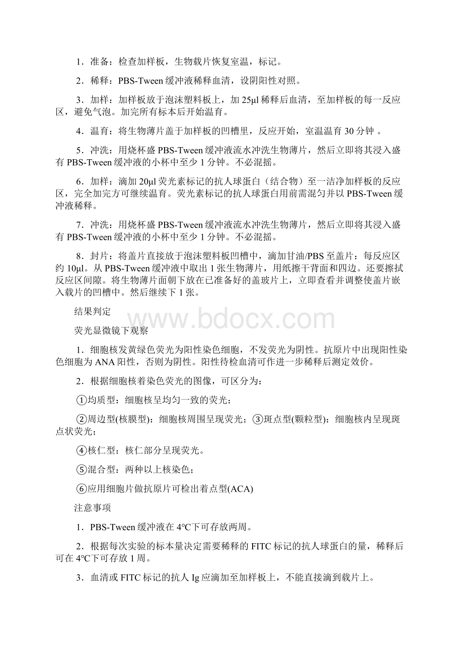 免疫荧光检测Word文件下载.docx_第2页