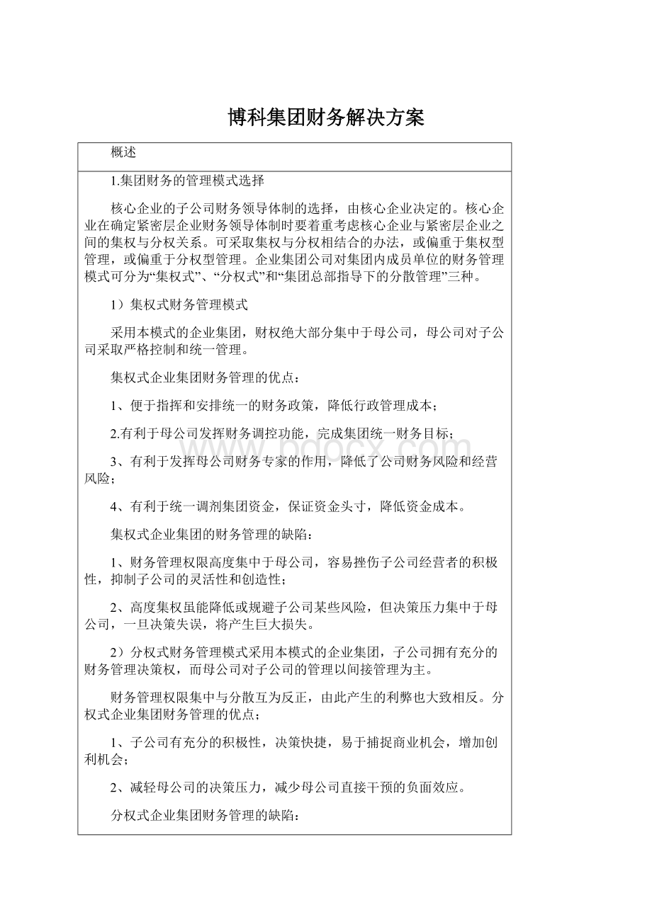 博科集团财务解决方案.docx