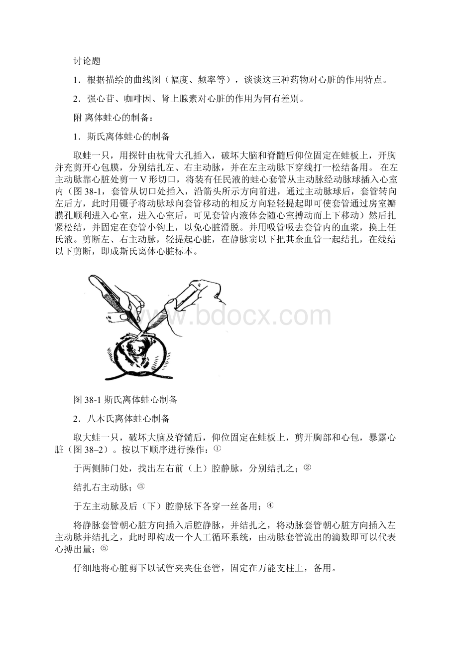 血液循环系统药物实验.docx_第2页