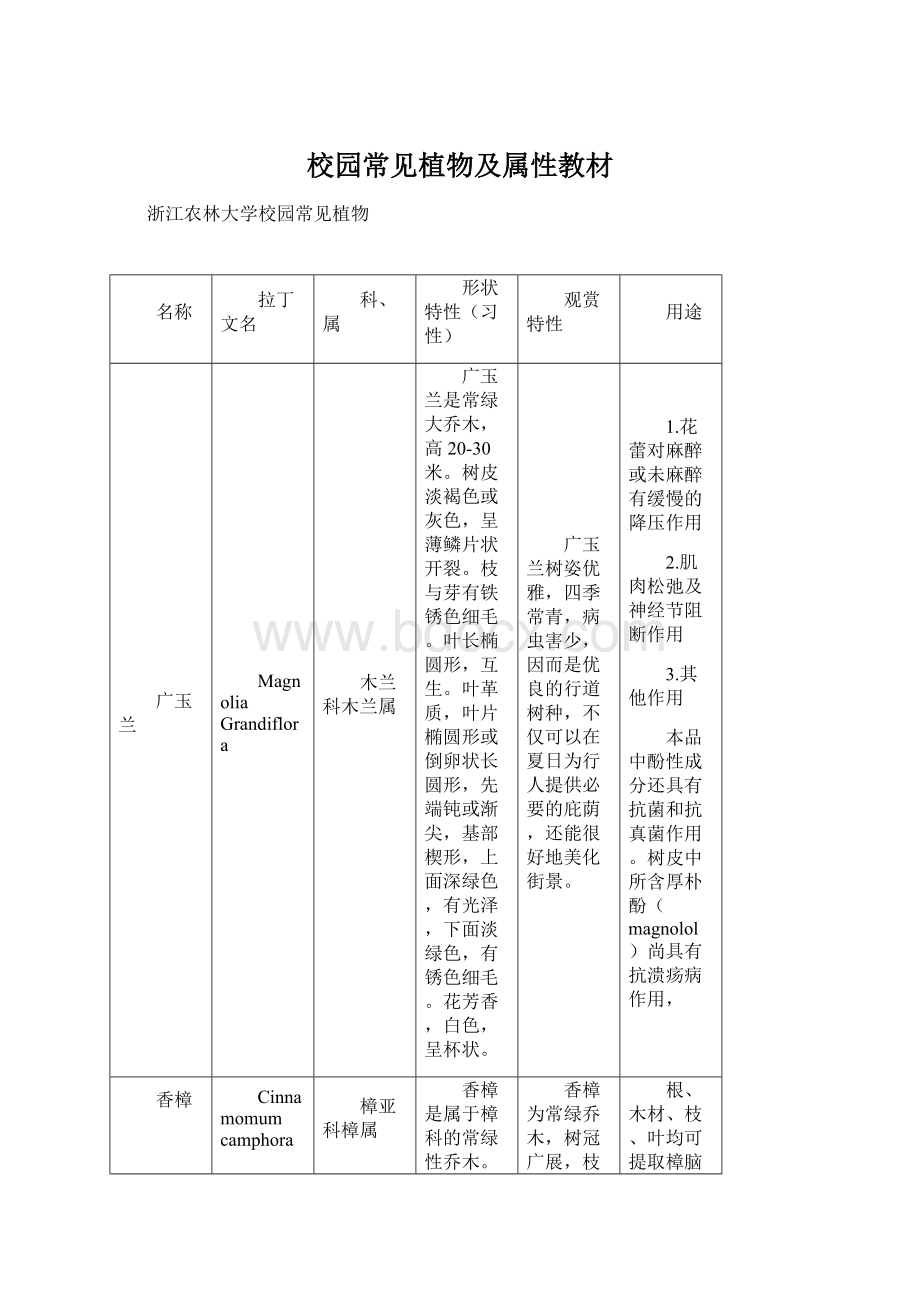 校园常见植物及属性教材Word下载.docx