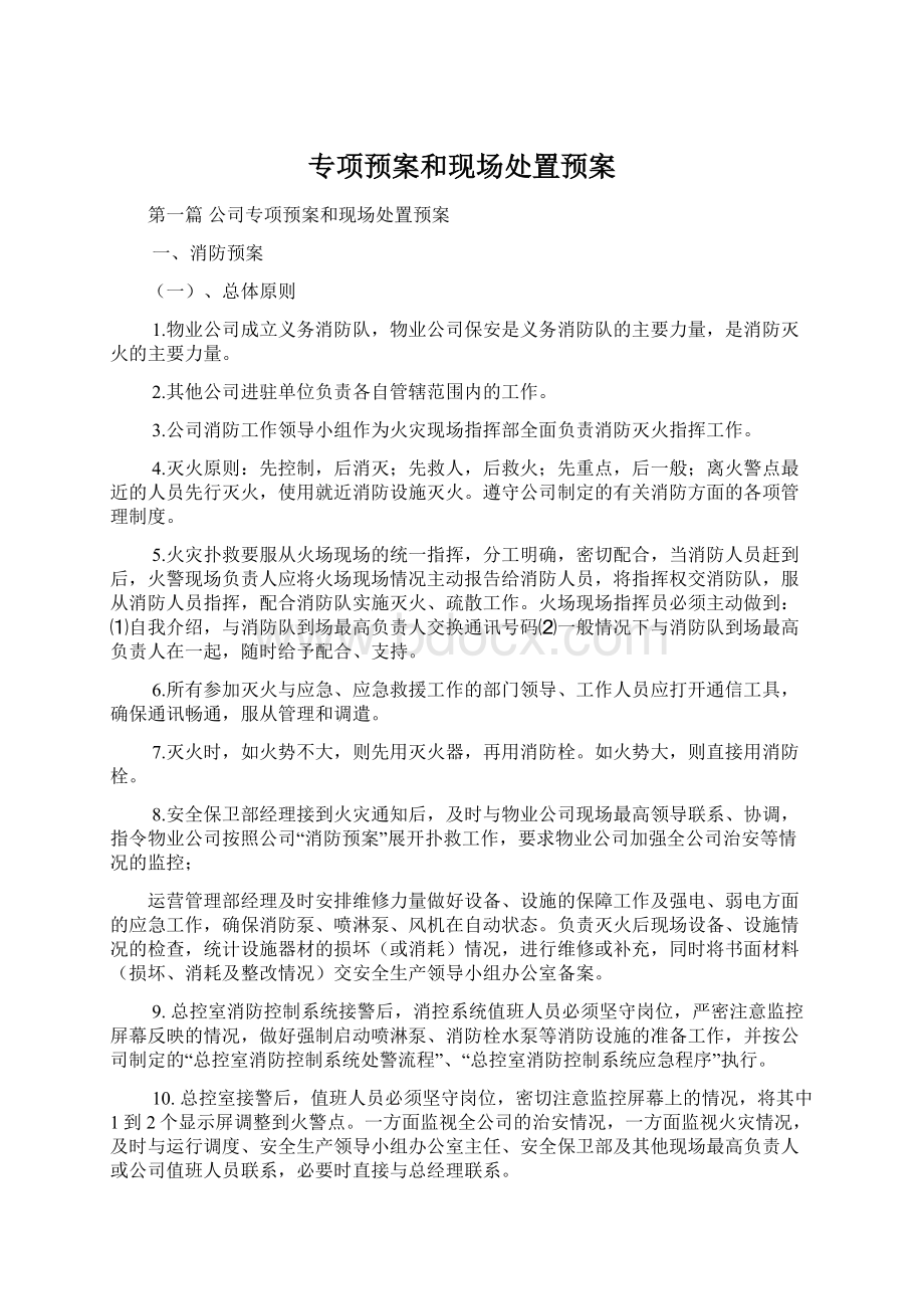 专项预案和现场处置预案Word格式.docx