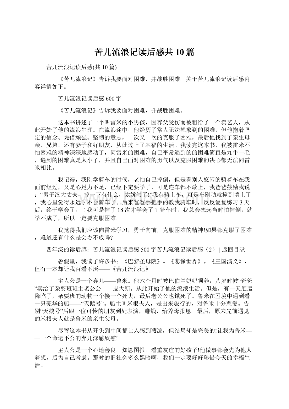 苦儿流浪记读后感共10篇.docx