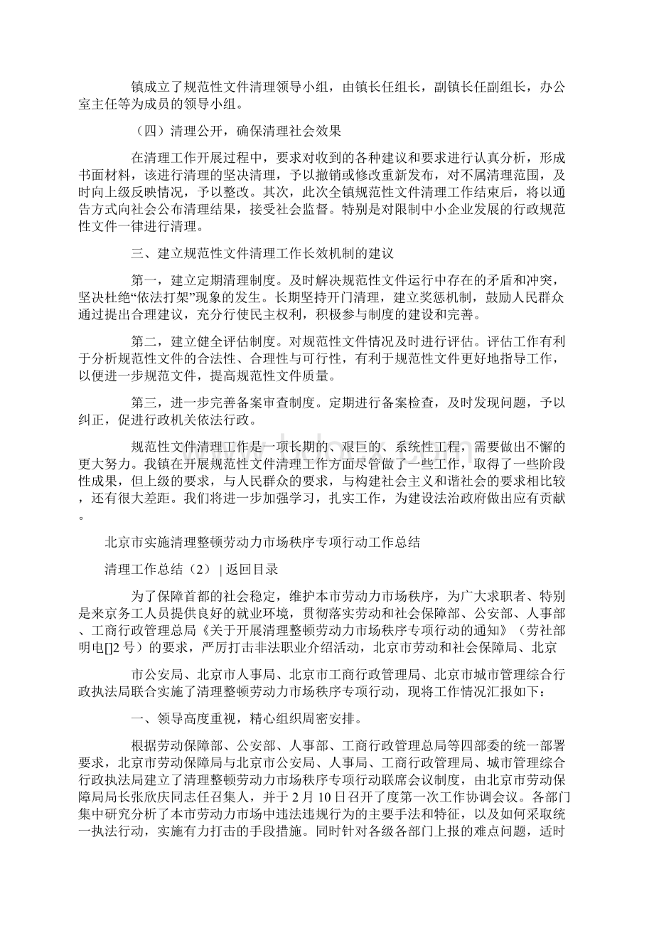 推荐清理工作总结4篇范文word版 11页文档格式.docx_第2页