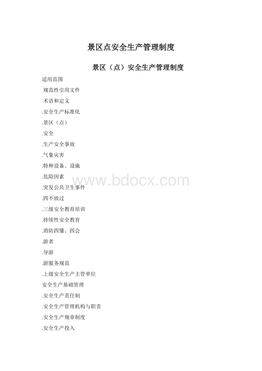 景区点安全生产管理制度文档格式.docx