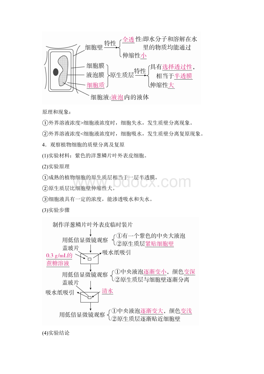 届一轮复习人教版第7讲物质跨膜运输的实例和方式 学案Word文档格式.docx_第2页