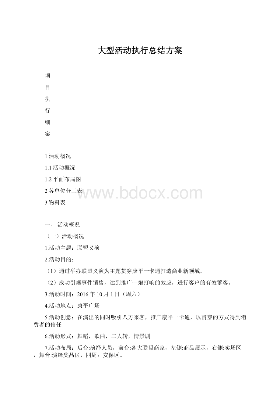 大型活动执行总结方案Word下载.docx_第1页