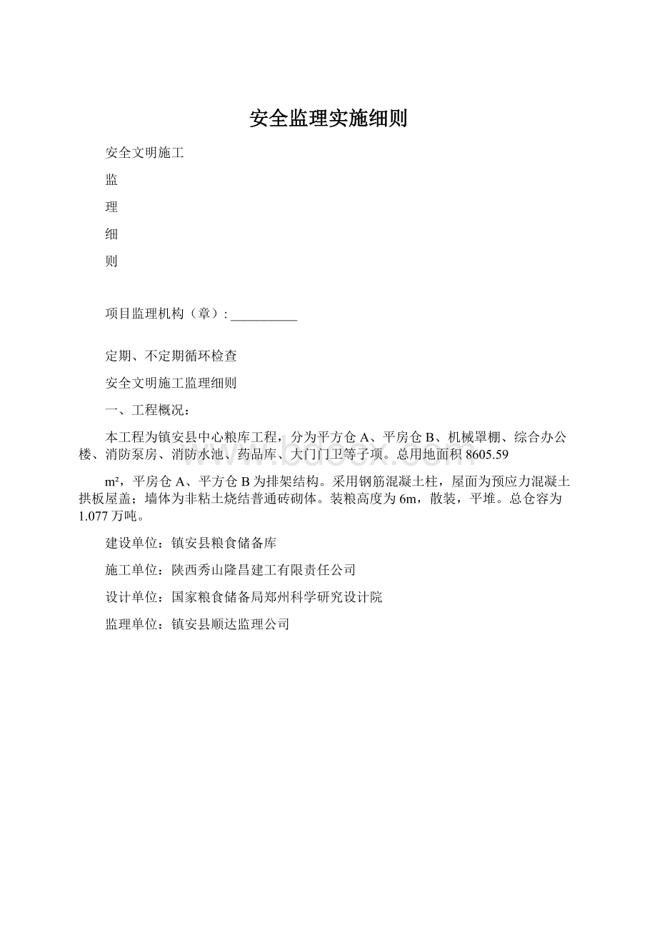 安全监理实施细则.docx