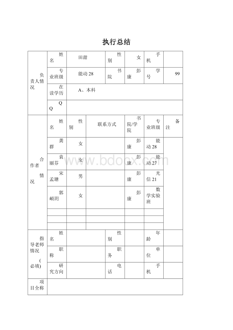 执行总结文档格式.docx