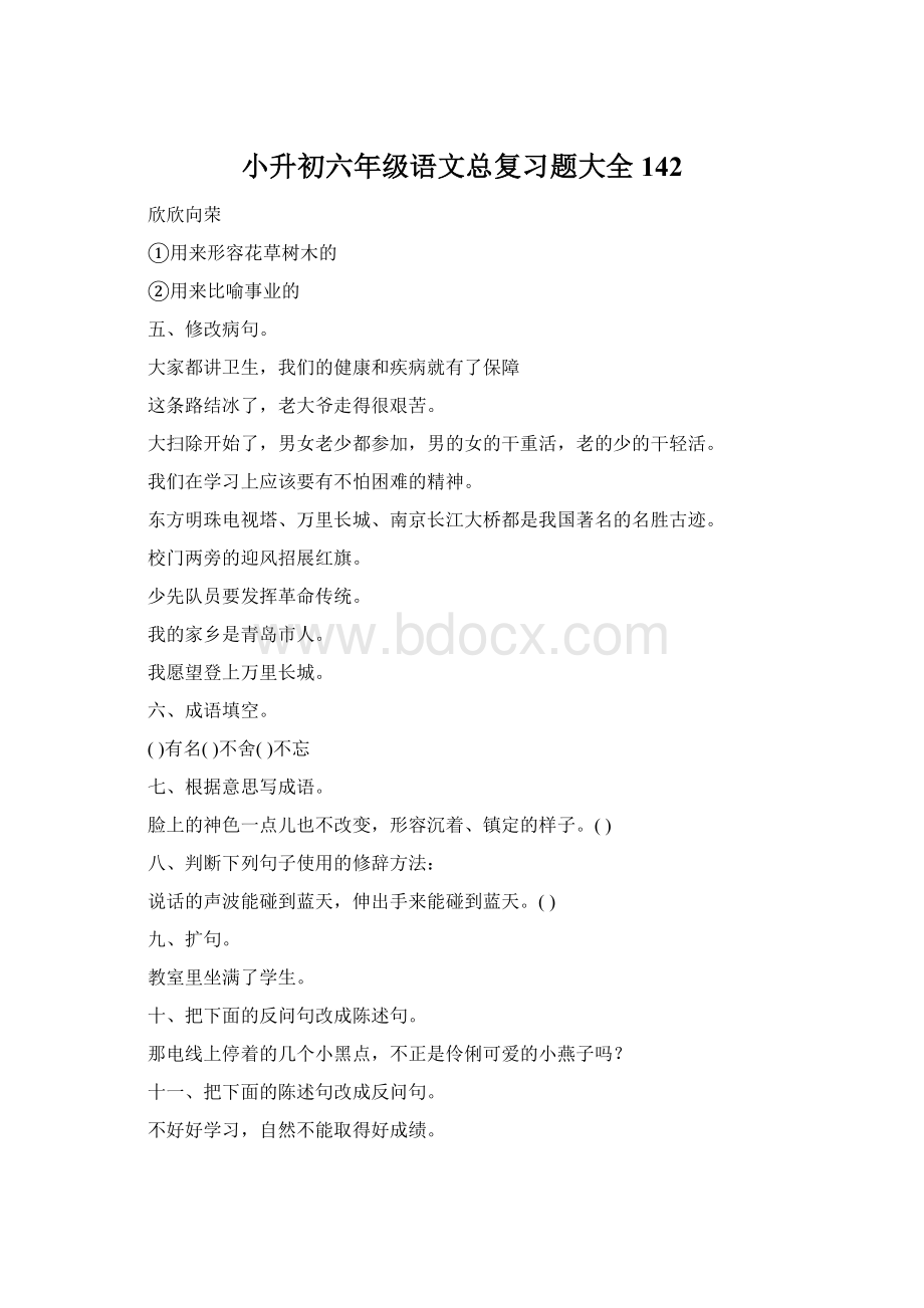 小升初六年级语文总复习题大全142.docx_第1页