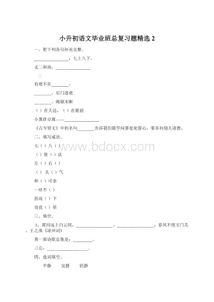 小升初语文毕业班总复习题精选2Word文档下载推荐.docx