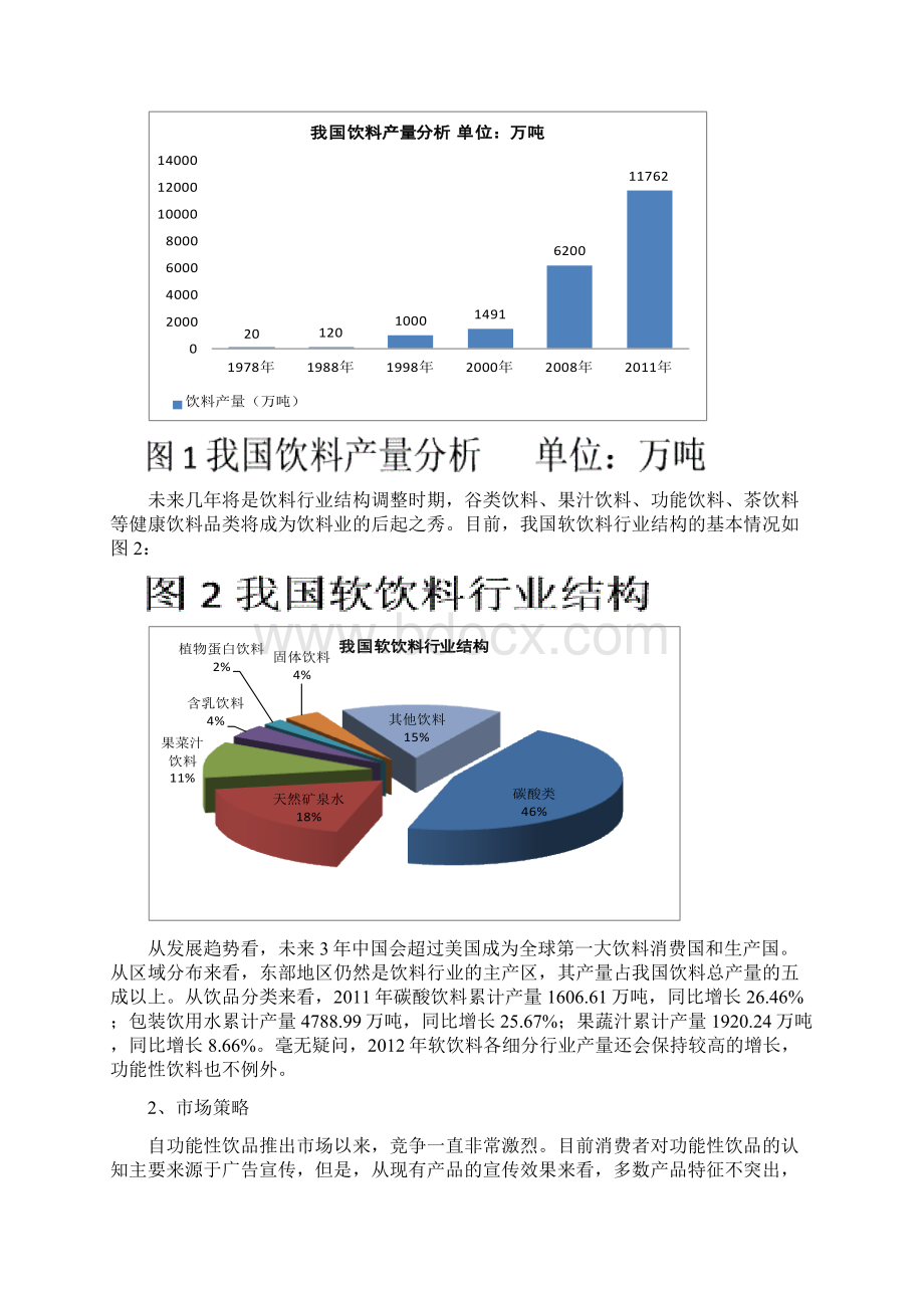 石家庄职业技术学院凌云队策划方案Word下载.docx_第2页