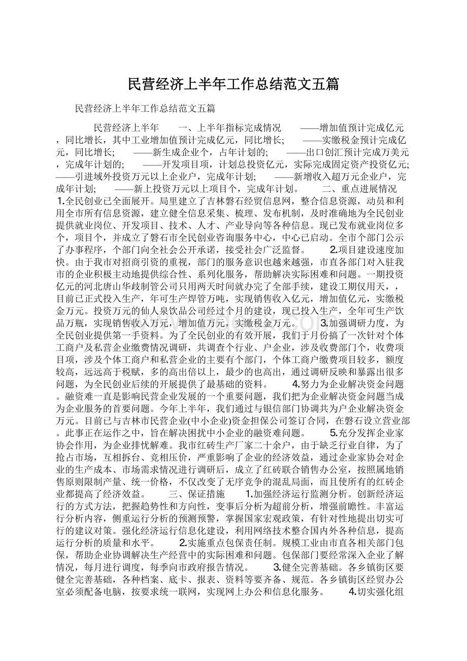 民营经济上半年工作总结范文五篇.docx