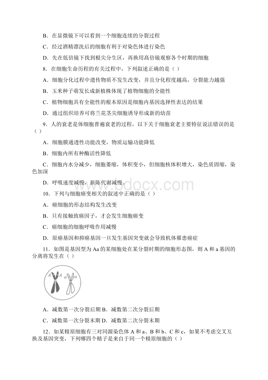 湖北省武汉市学年高一下学期期中联考生物试题含答案解析.docx_第3页