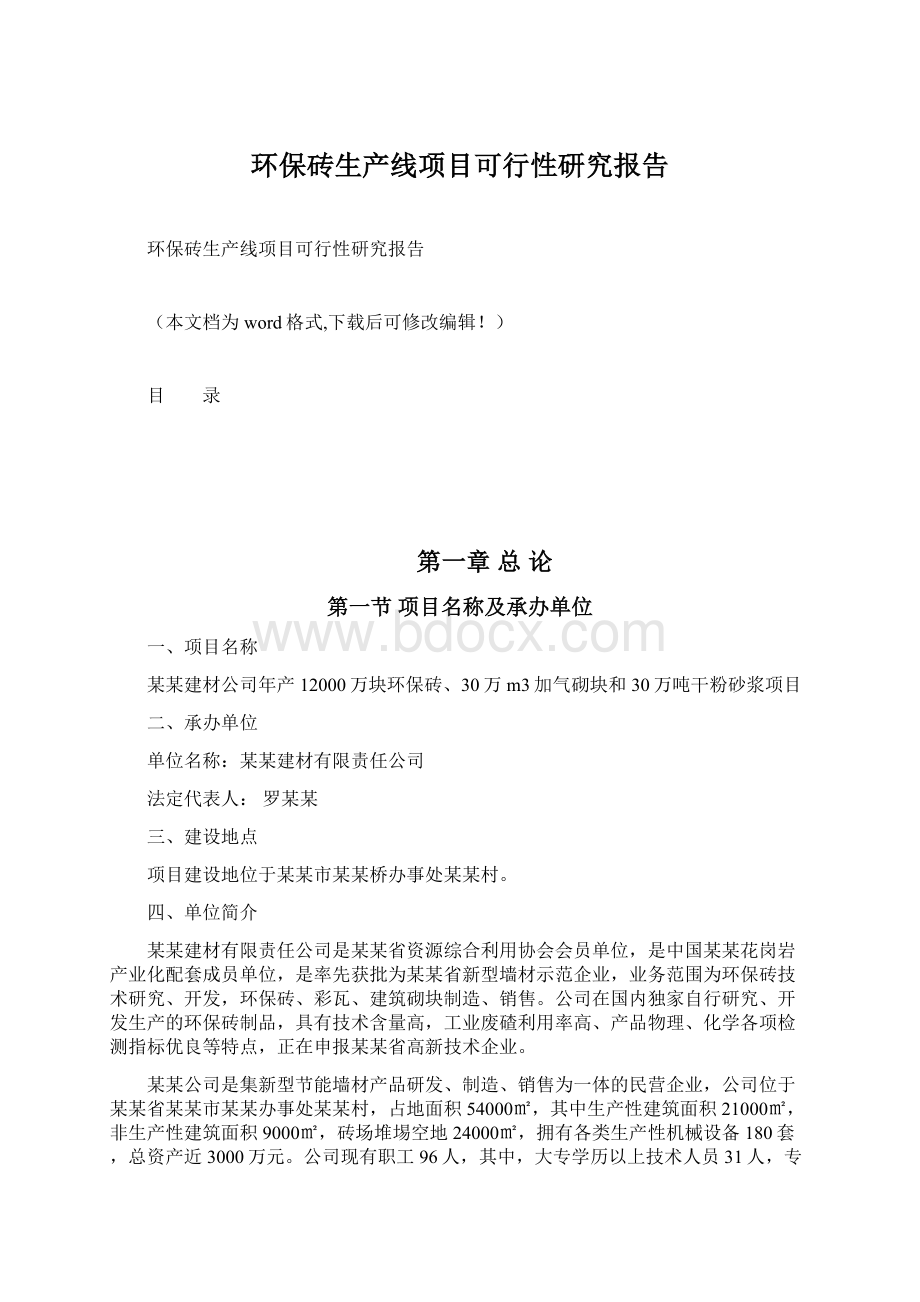 环保砖生产线项目可行性研究报告.docx_第1页