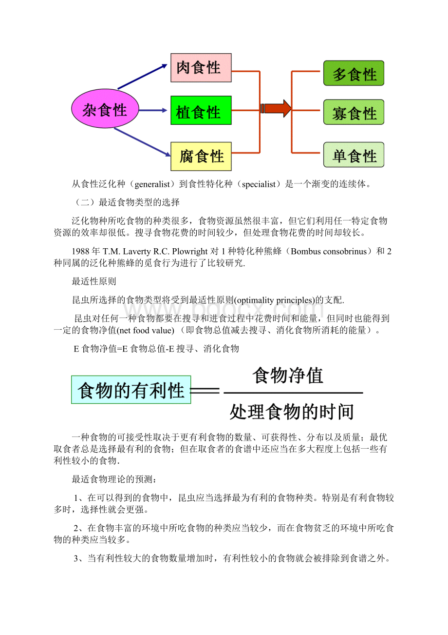 觅食行为.docx_第3页