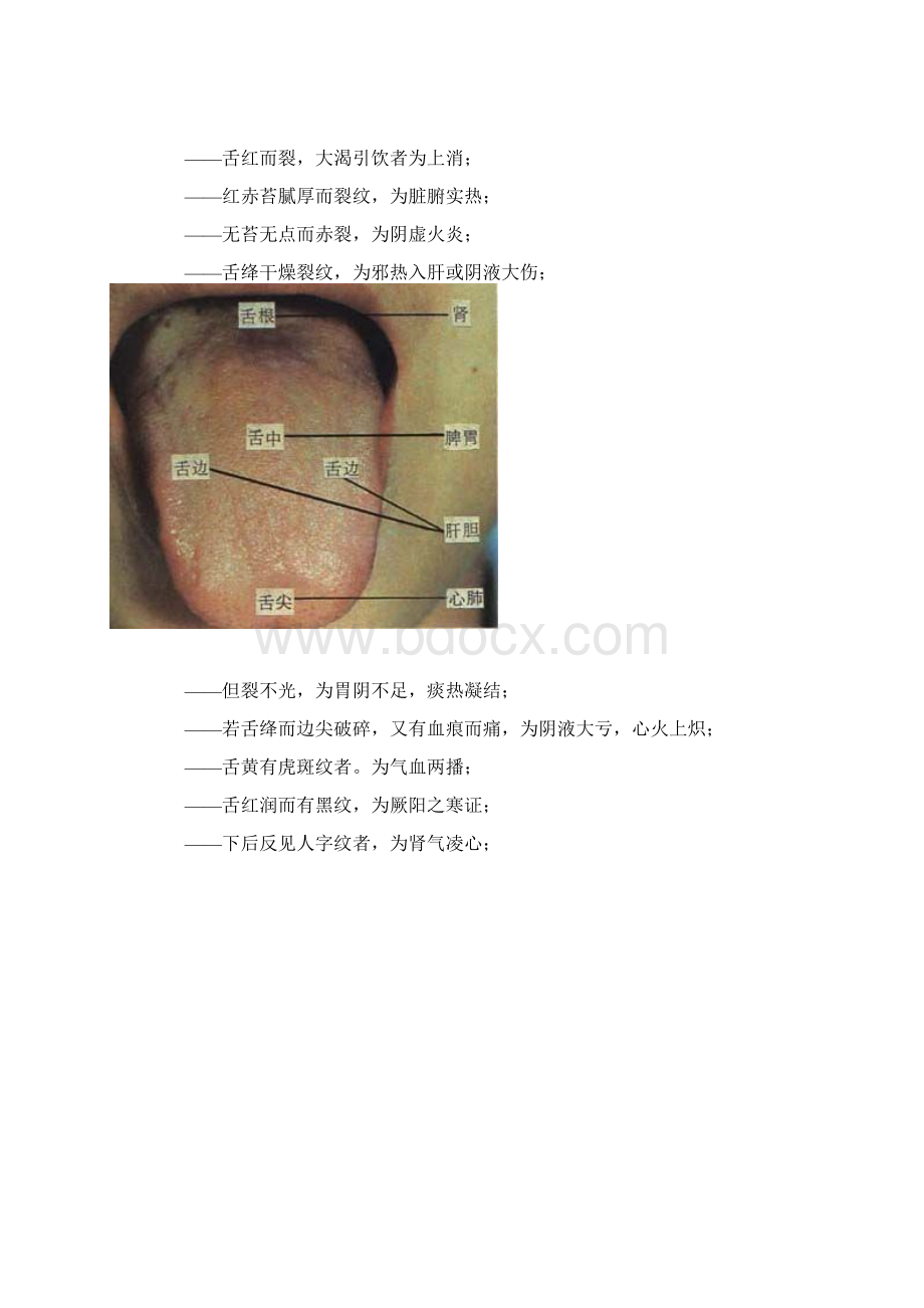 舌诊实例图解.docx_第3页