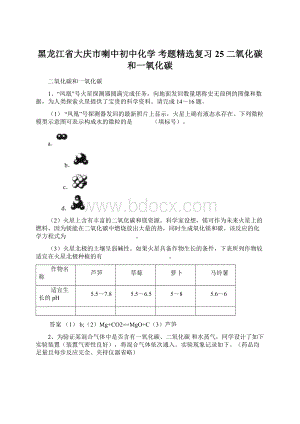 黑龙江省大庆市喇中初中化学 考题精选复习25 二氧化碳和一氧化碳.docx