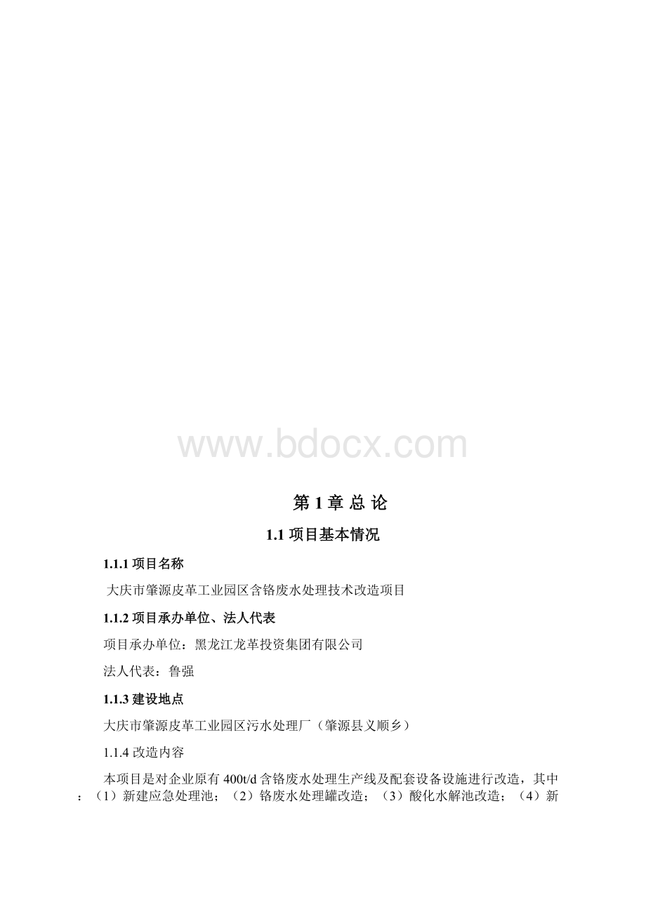 项目可行性研究报告.docx_第3页