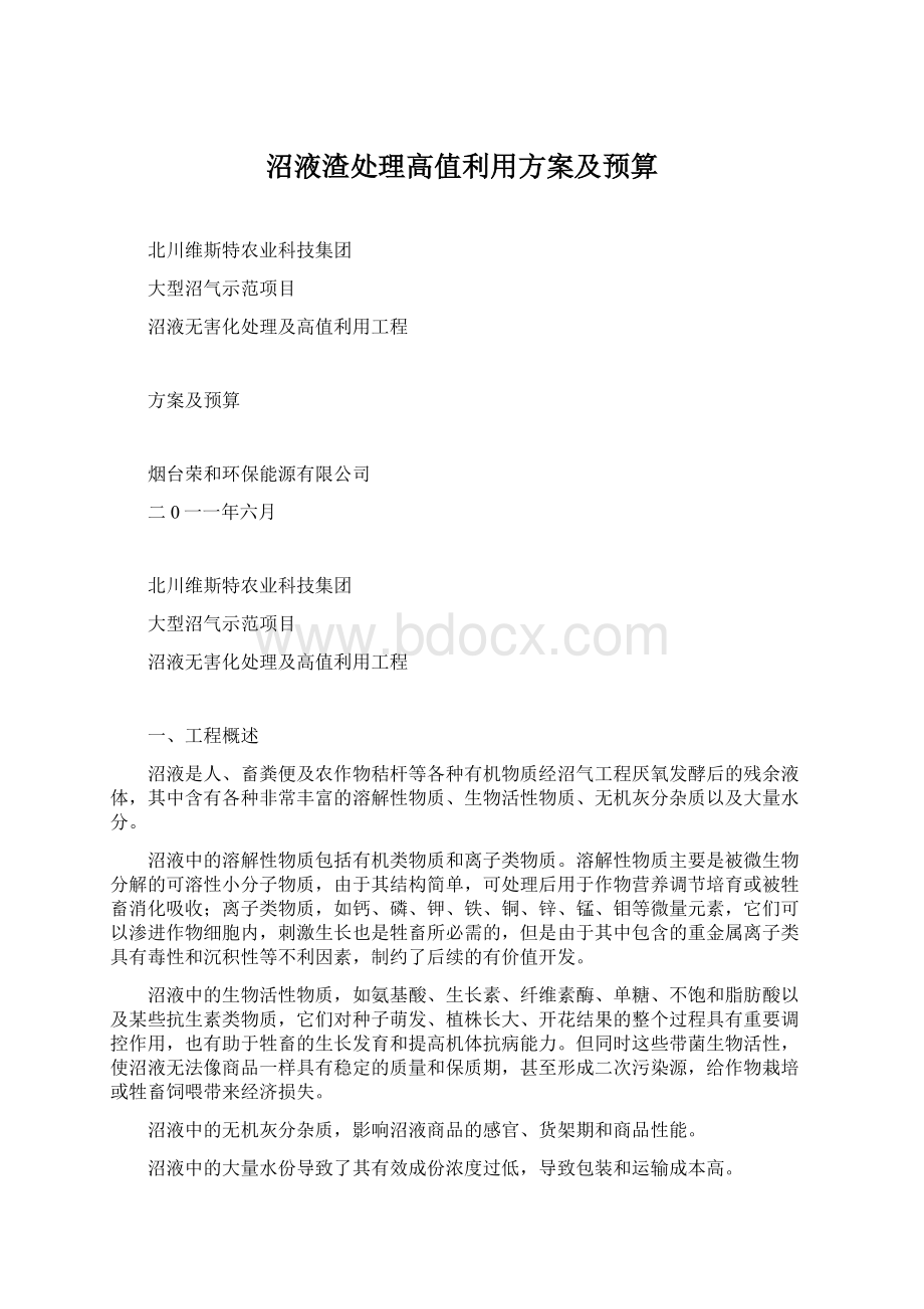 沼液渣处理高值利用方案及预算Word格式文档下载.docx