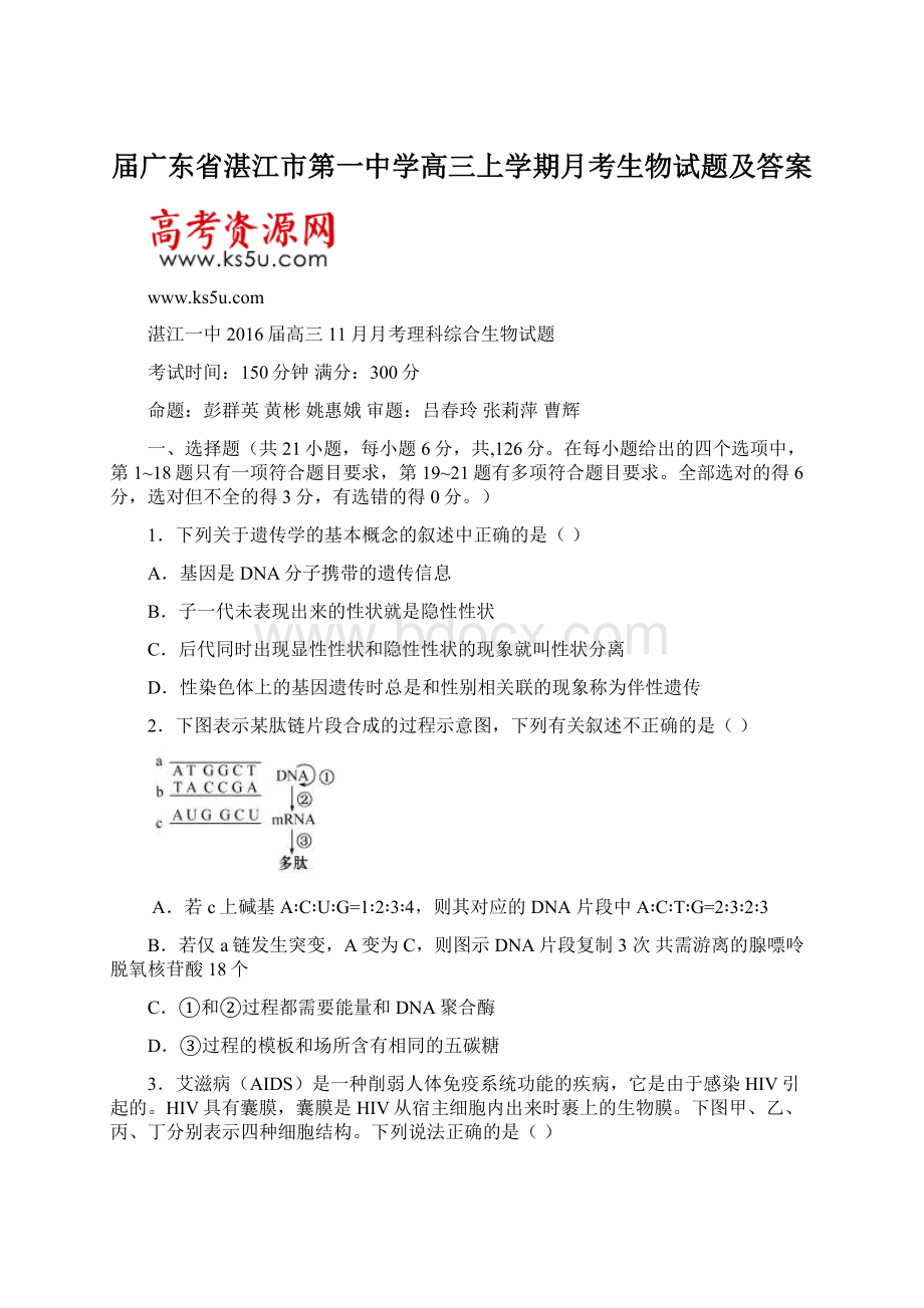 届广东省湛江市第一中学高三上学期月考生物试题及答案Word格式文档下载.docx_第1页