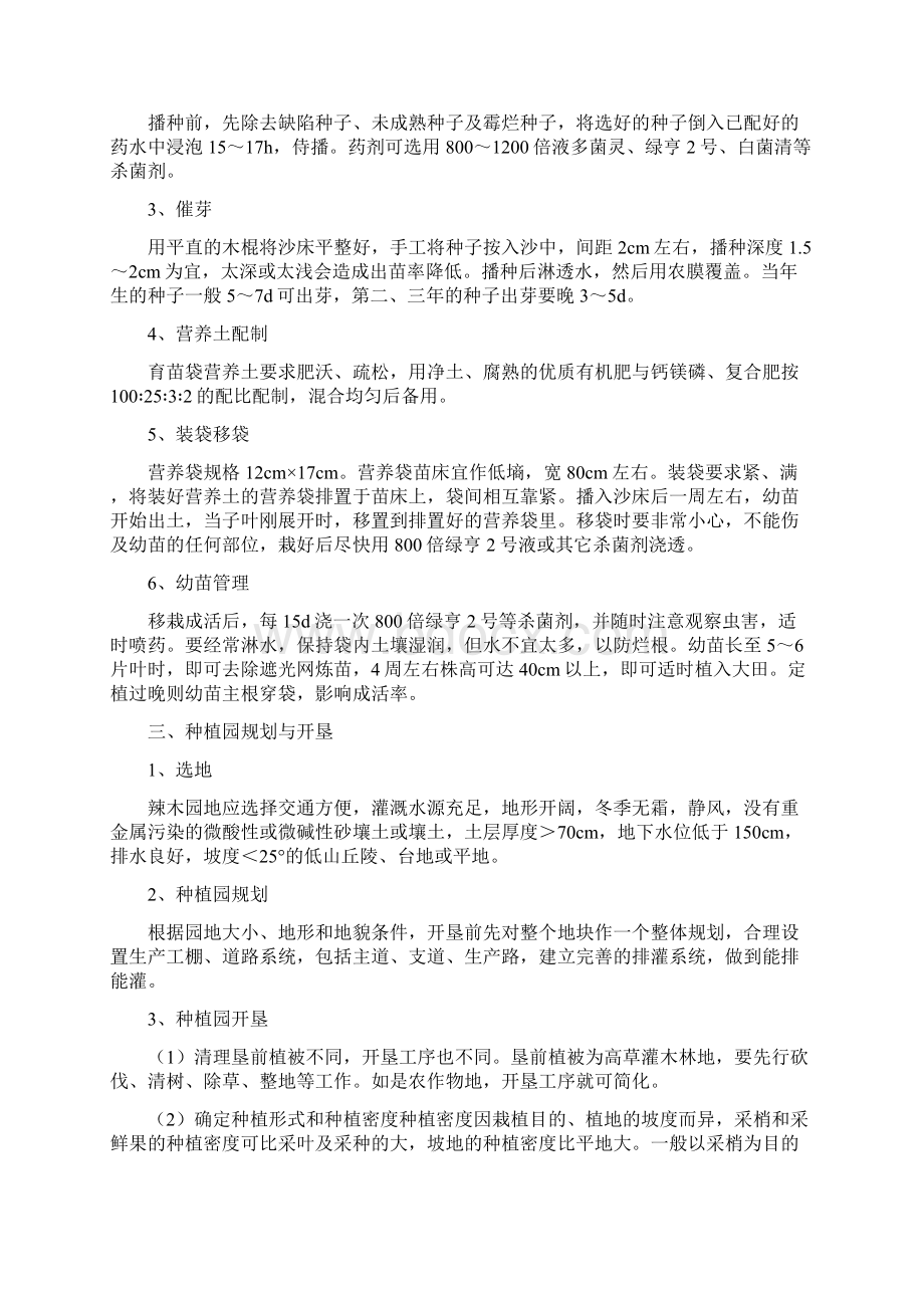 百绿盛 辣木种植技术方案总结.docx_第2页