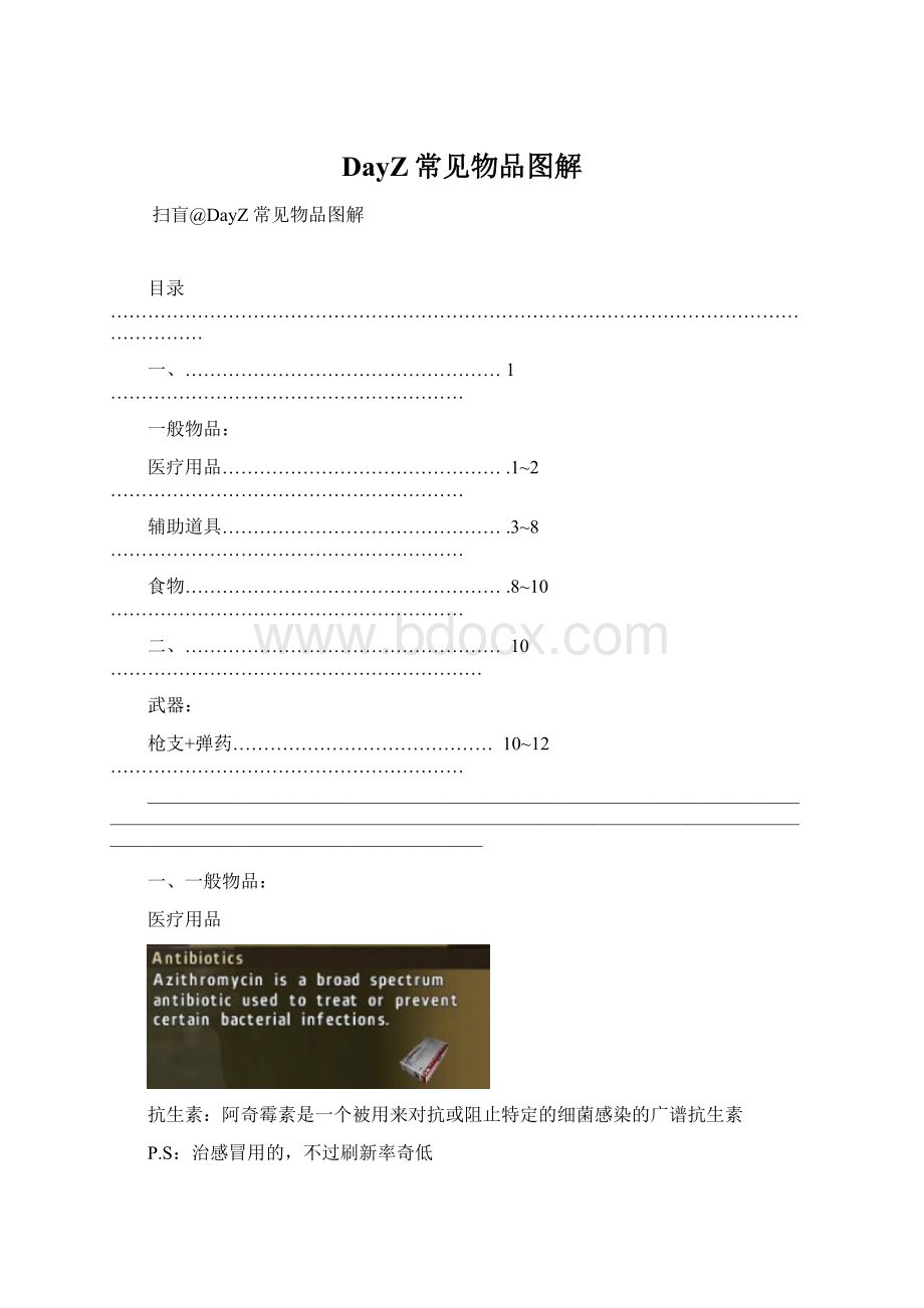 DayZ常见物品图解Word文件下载.docx_第1页