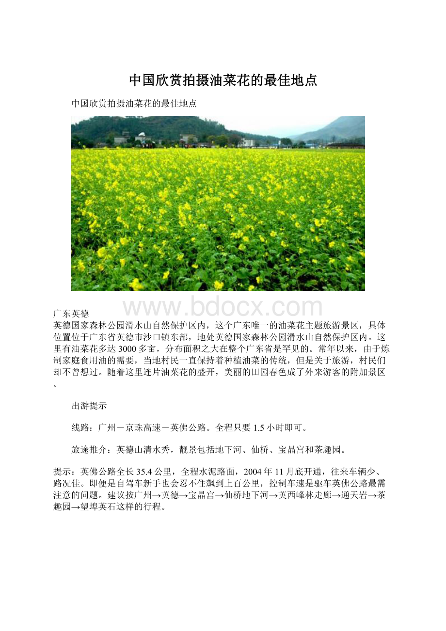 中国欣赏拍摄油菜花的最佳地点Word格式文档下载.docx