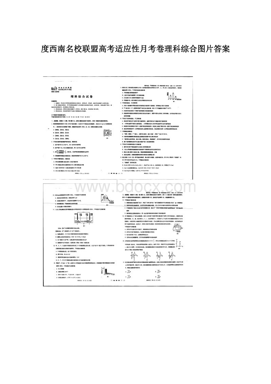 度西南名校联盟高考适应性月考卷理科综合图片答案Word下载.docx_第1页