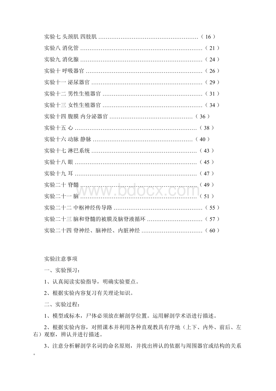 人体解剖学试验指导Word格式文档下载.docx_第2页