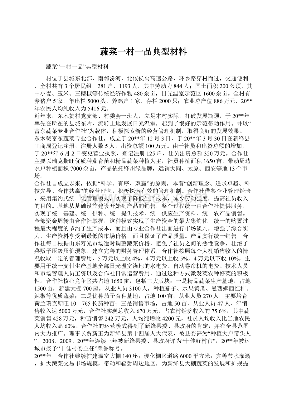 蔬菜一村一品典型材料.docx_第1页