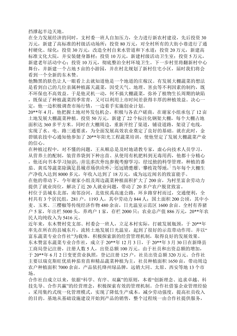 蔬菜一村一品典型材料.docx_第2页