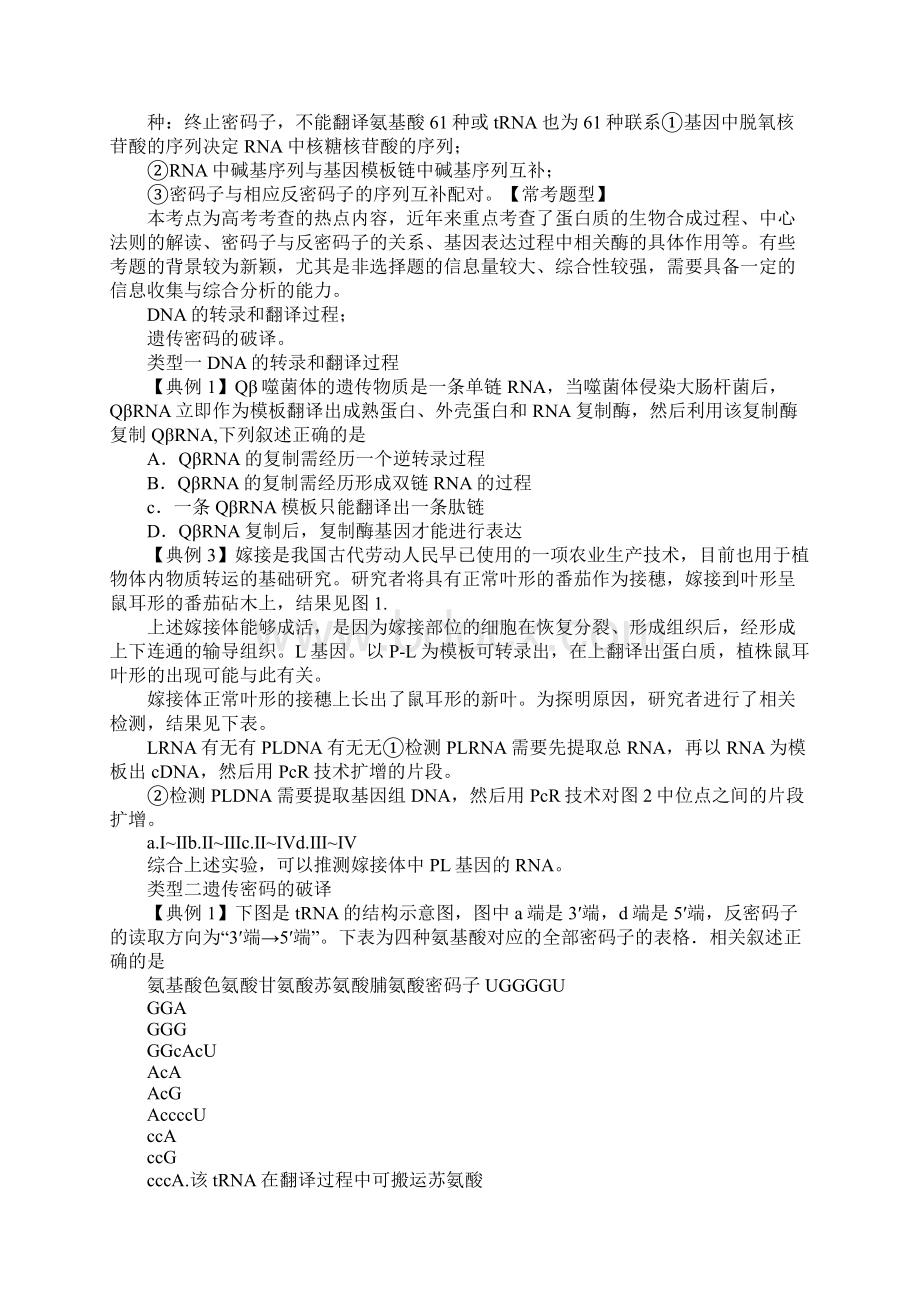 XX年高考生物热点遗传信息的转录和翻译文档格式.docx_第2页