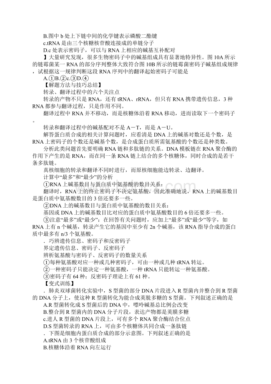 XX年高考生物热点遗传信息的转录和翻译文档格式.docx_第3页