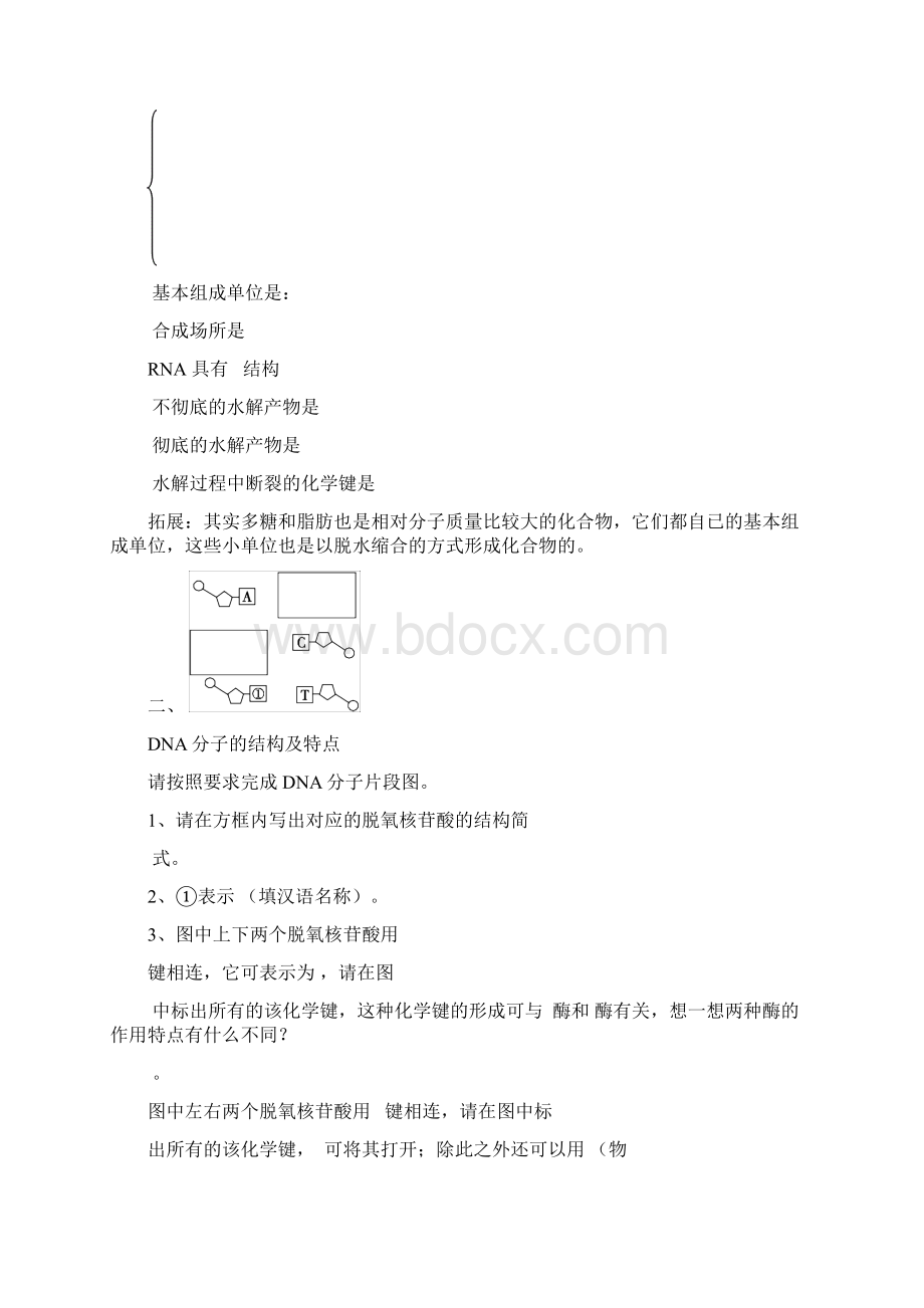 导与练届高三生物一轮复习学案第19讲 DNA分子的结构复制.docx_第2页