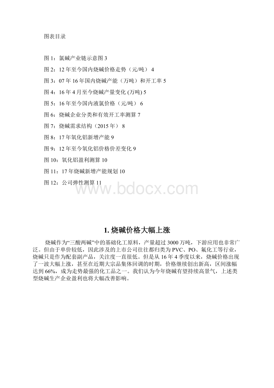 烧碱行业供需展望调研投资分析报告.docx_第2页